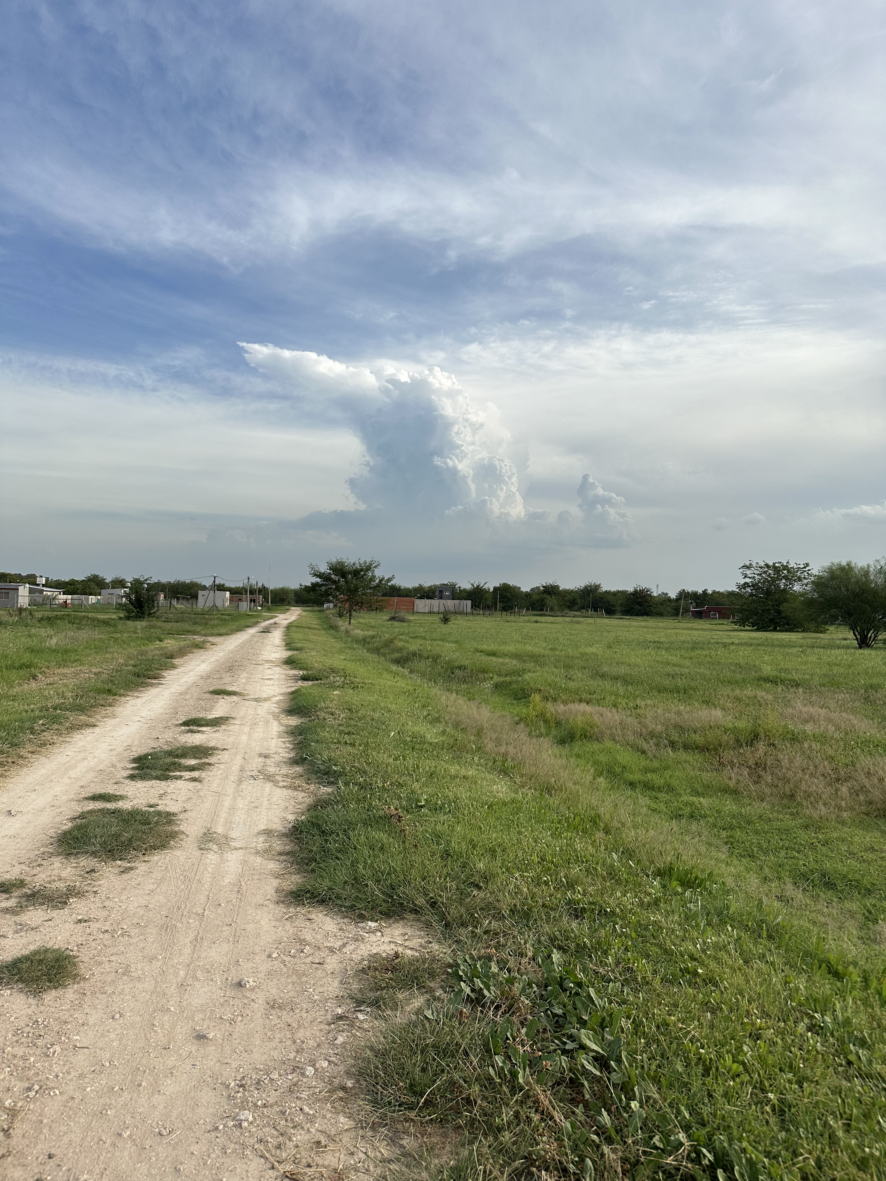 Lote A-01